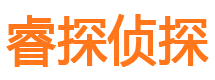 船山侦探调查公司